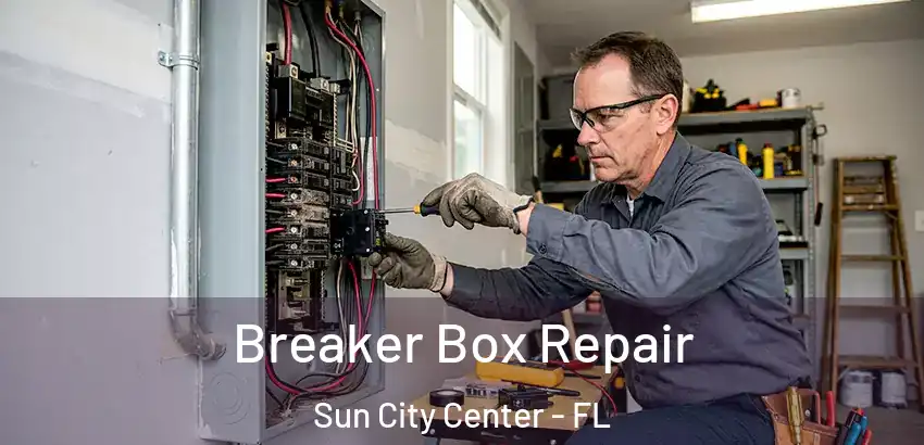 Breaker Box Repair Sun City Center - FL
