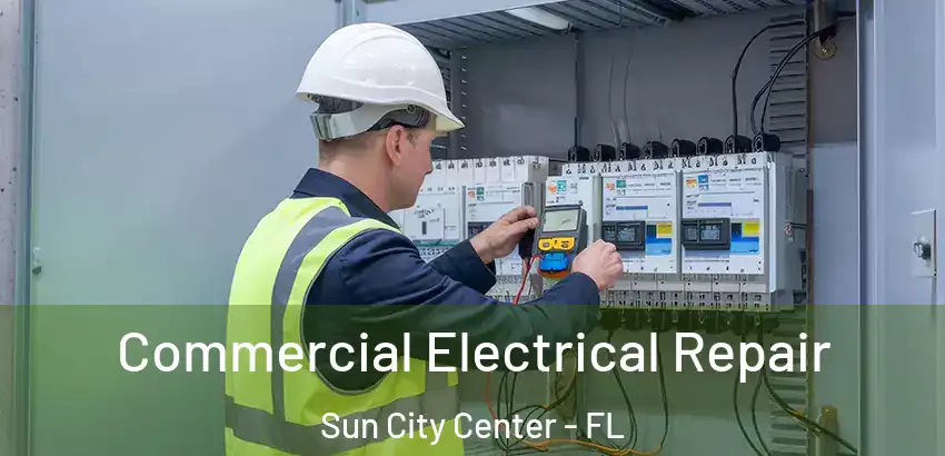 Commercial Electrical Repair Sun City Center - FL