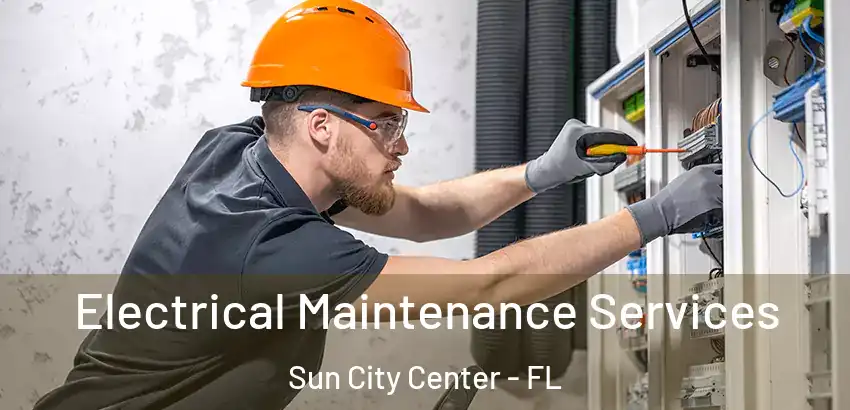  Electrical Maintenance Services Sun City Center - FL