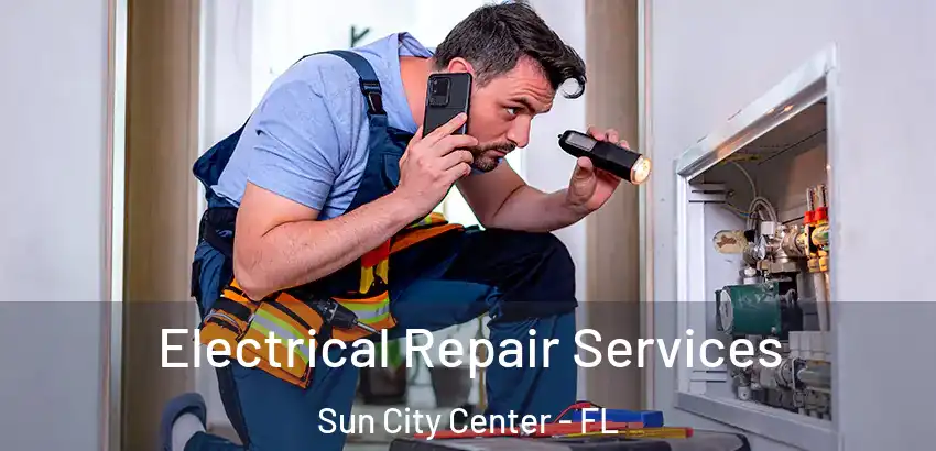 Electrical Repair Services Sun City Center - FL