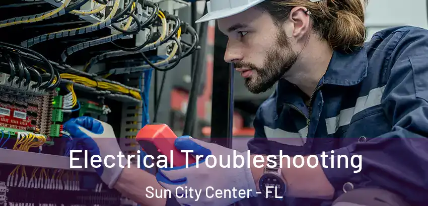  Electrical Troubleshooting Sun City Center - FL