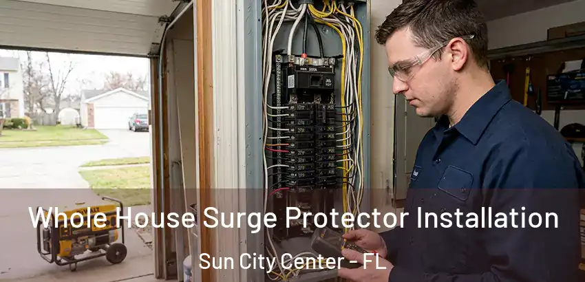  Whole House Surge Protector Installation Sun City Center - FL